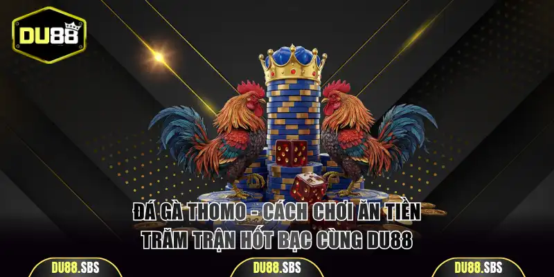 Đá gà Thomo